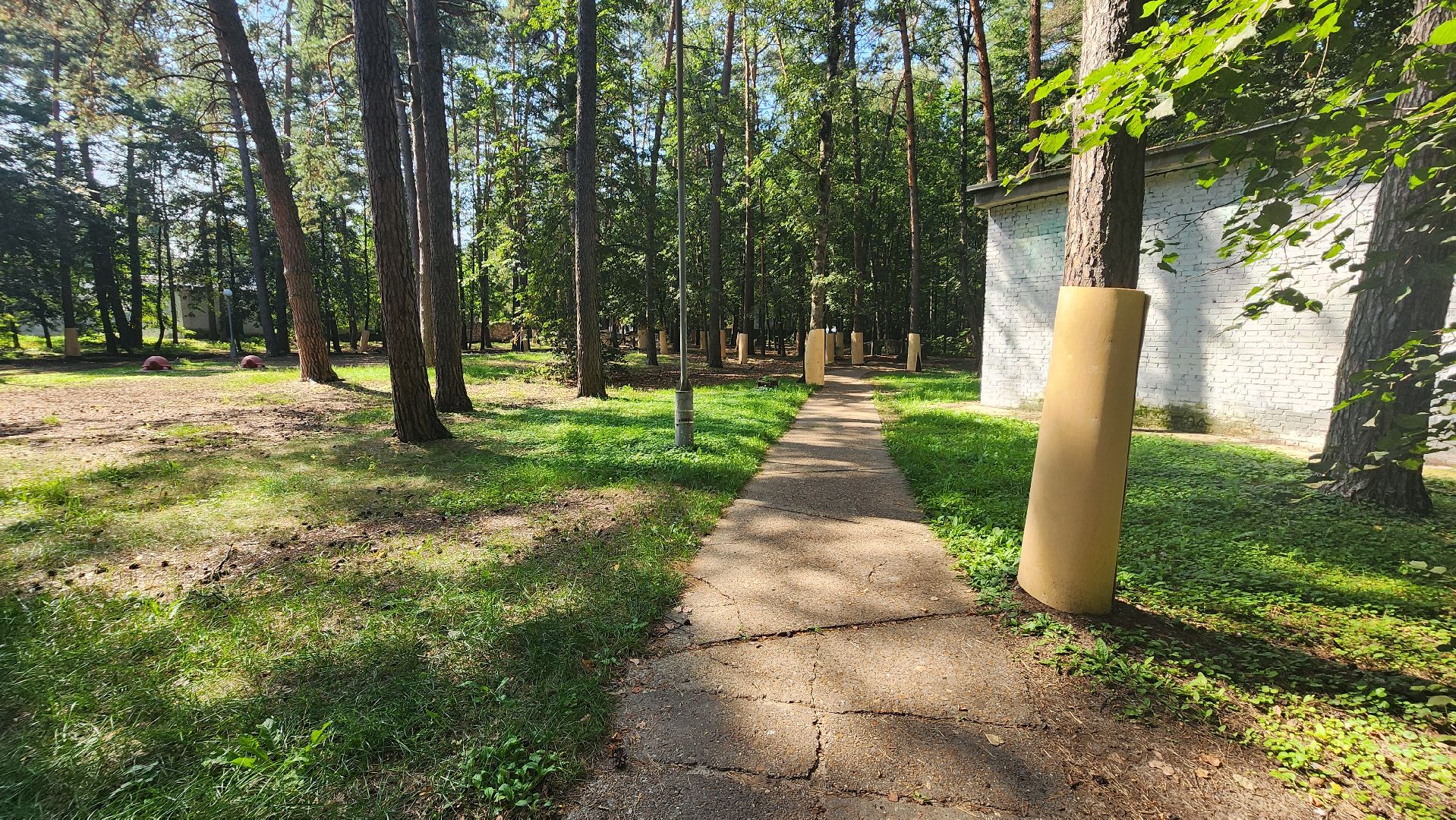 протвино, сказка, лес, зеленые насаждения, экология,