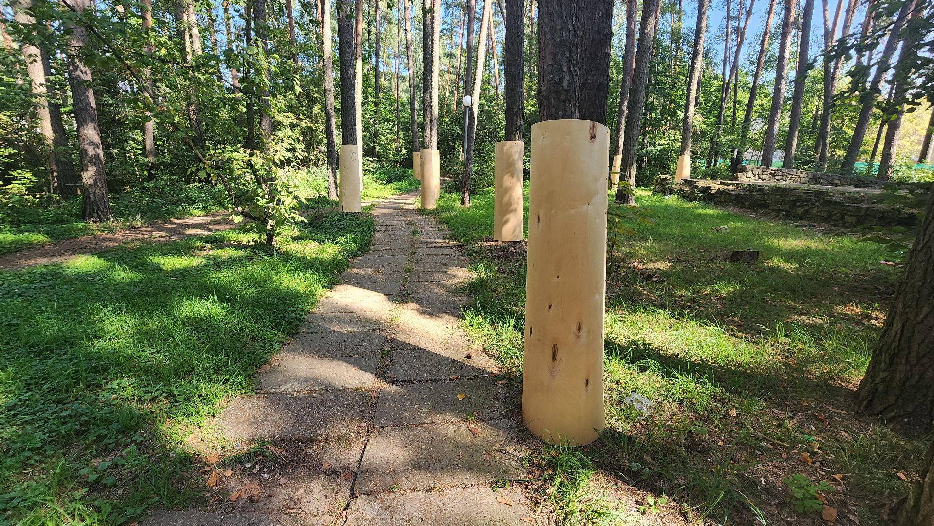 протвино, сказка, лес, зеленые насаждения, экология,