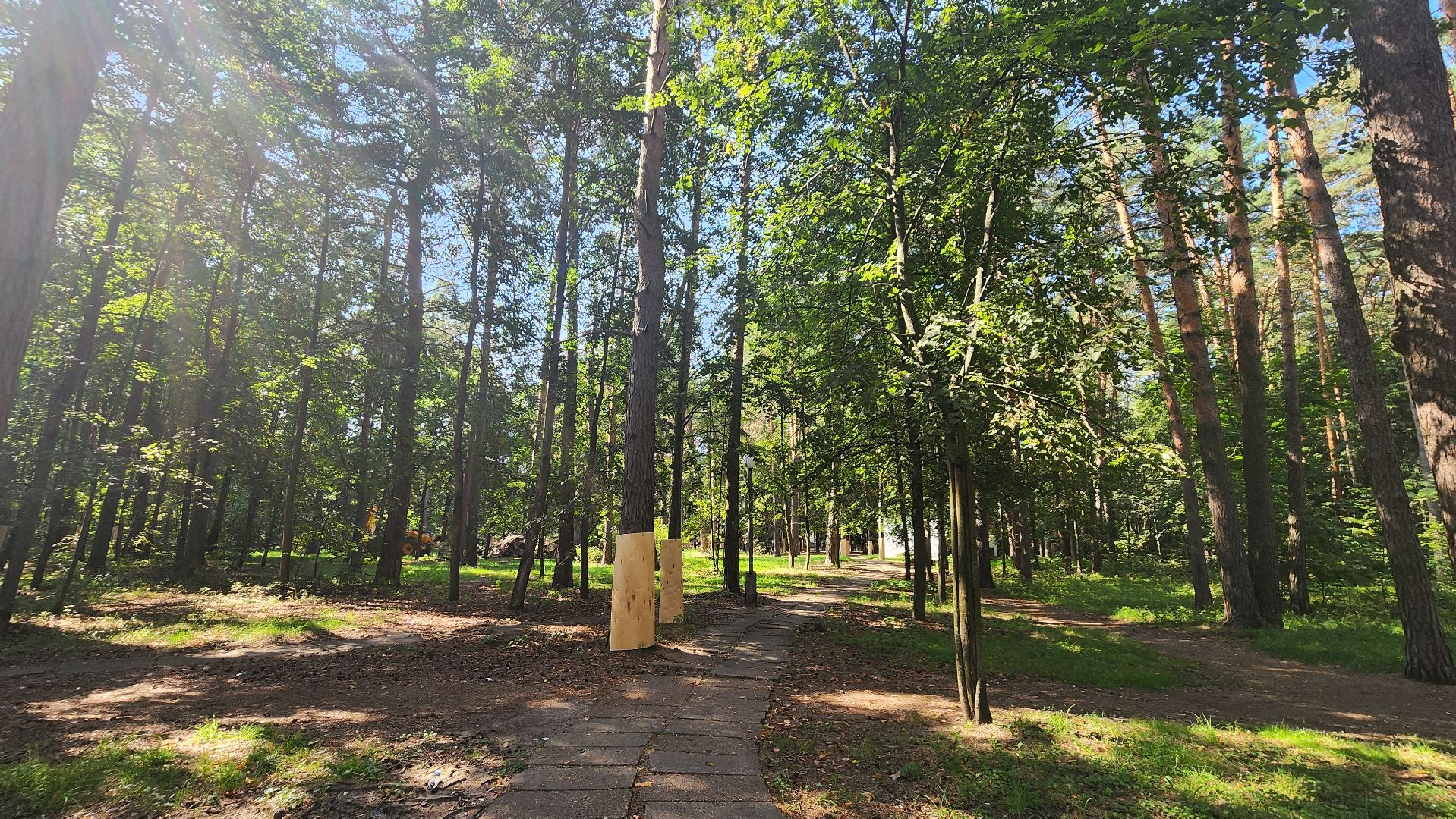 протвино, сказка, лес, зеленые насаждения, экология,