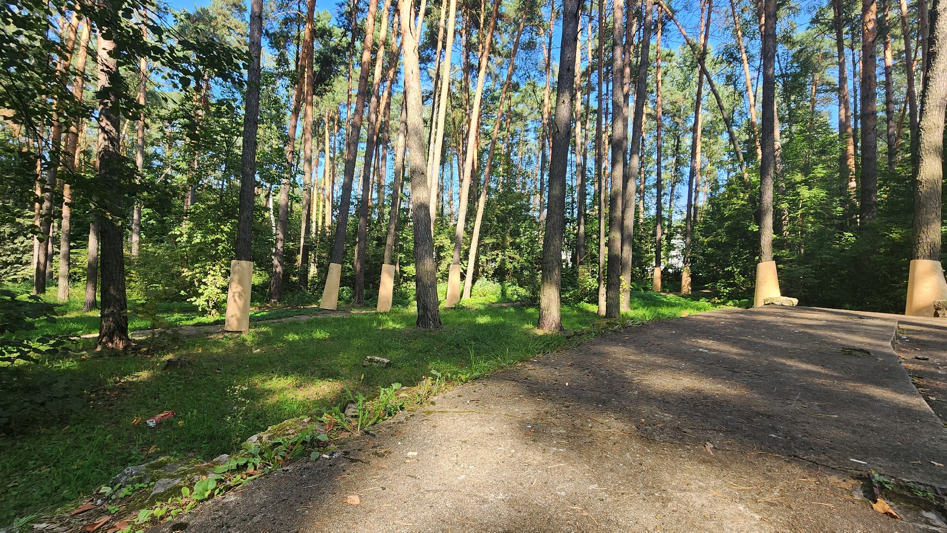 протвино, сказка, лес, зеленые насаждения, экология,