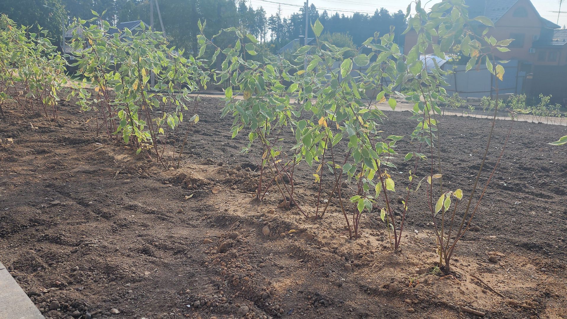 Солнечногорск, строительство, Поварово, новый корпус,