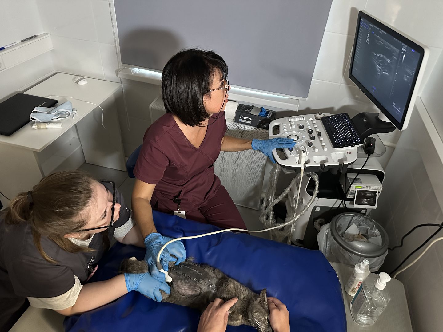 вет станция, ветеринарная клиника, мытищи,