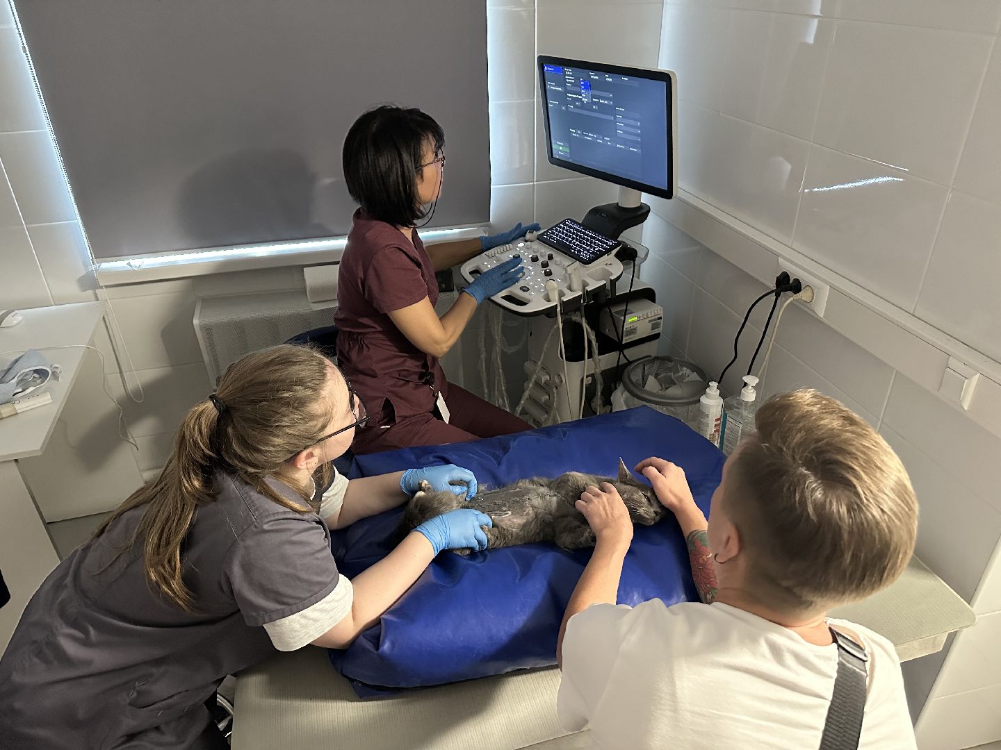 вет станция, ветеринарная клиника, мытищи,