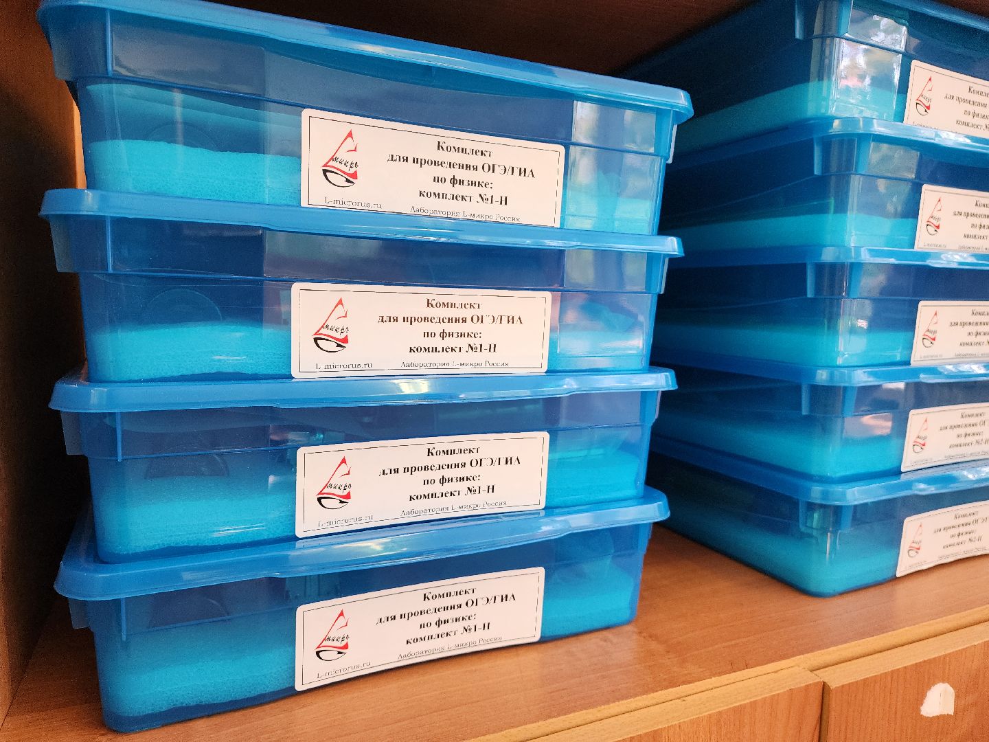 красногорск, школа 10, топ-100 лучших педагогов подмосковья,