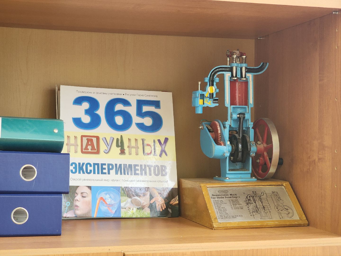 красногорск, школа 10, топ-100 лучших педагогов подмосковья,