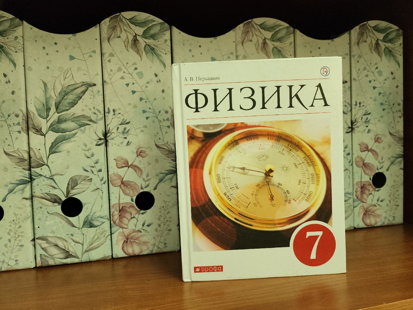 красногорск, школа 10, топ-100 лучших педагогов подмосковья,