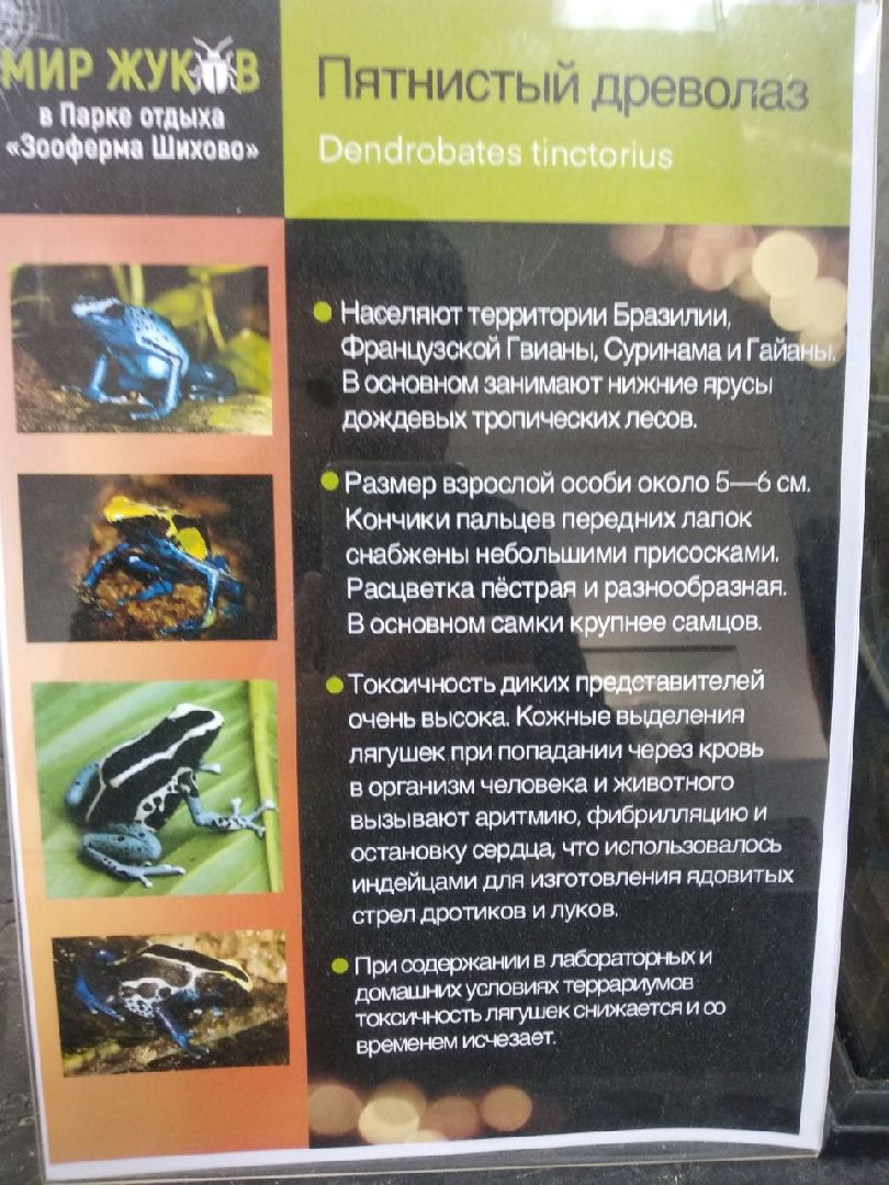 Дмитров, зооферма Шихово, Минсельхоз МО