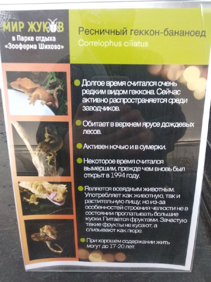 Дмитров, зооферма Шихово, Минсельхоз МО