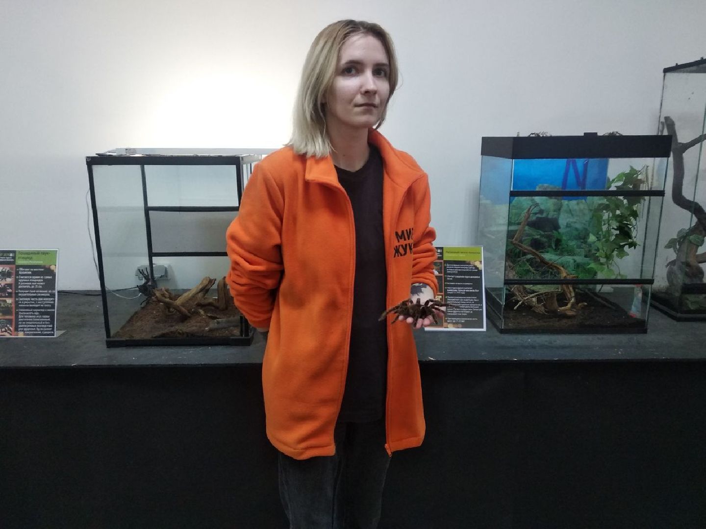 Дмитров, зооферма Шихово, Минсельхоз МО