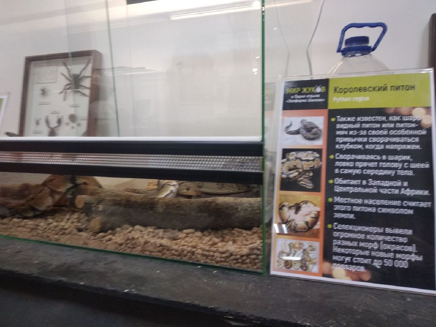 Дмитров, зооферма Шихово, Минсельхоз МО