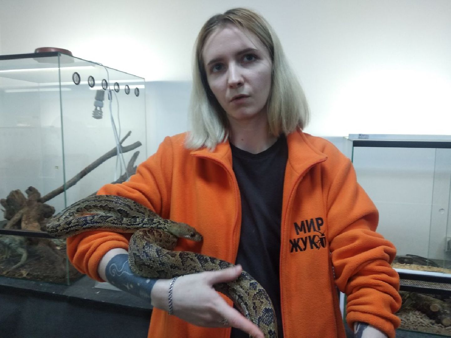 Дмитров, зооферма Шихово, Минсельхоз МО