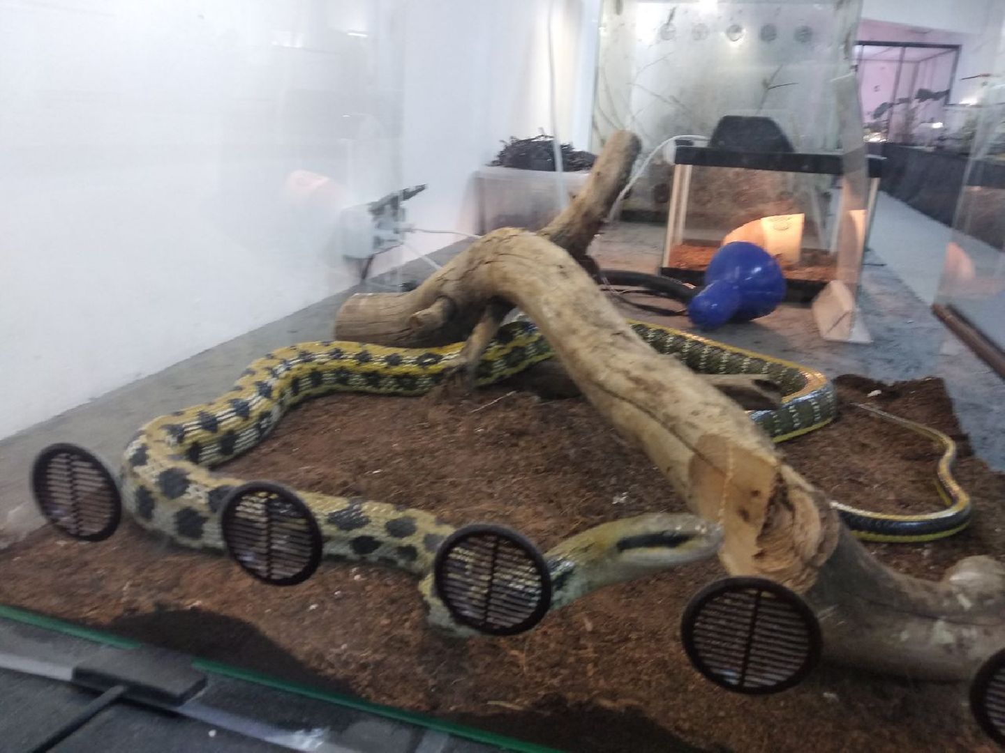 Дмитров, зооферма Шихово, Минсельхоз МО