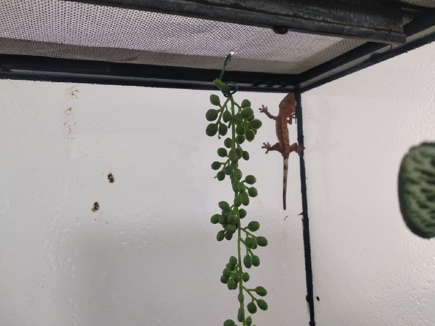 Дмитров, зооферма Шихово, Минсельхоз МО