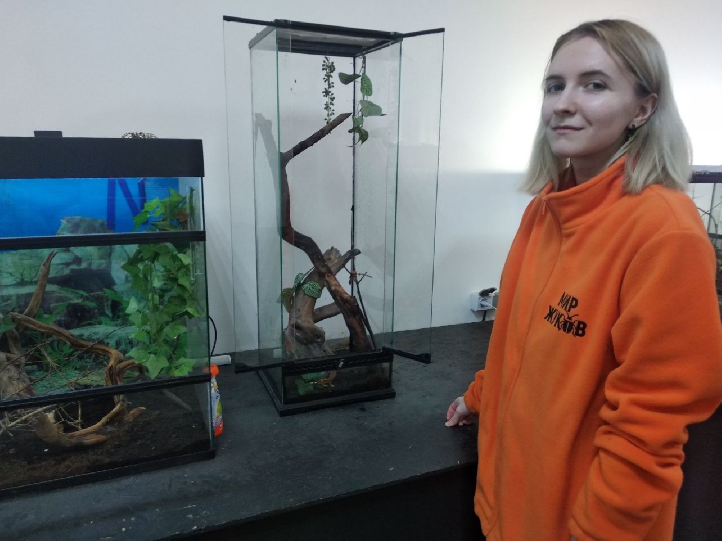 Дмитров, зооферма Шихово, Минсельхоз МО