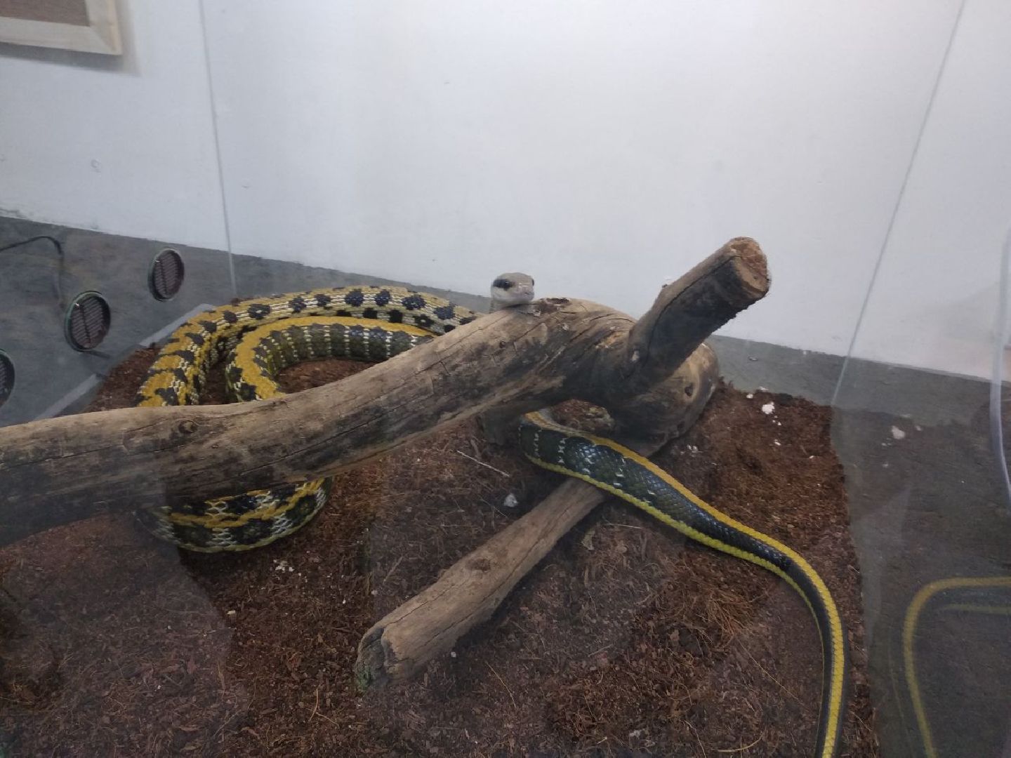 Дмитров, зооферма Шихово, Минсельхоз МО