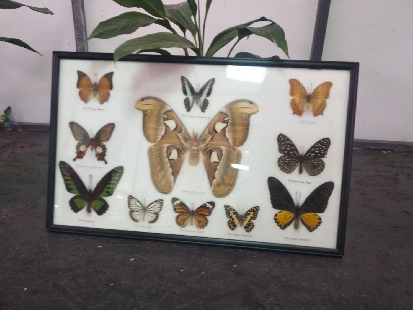 Дмитров, зооферма Шихово, Минсельхоз МО