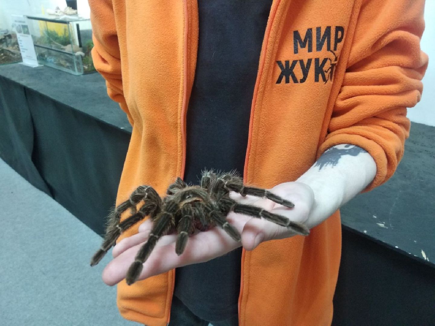 Дмитров, зооферма Шихово, Минсельхоз МО