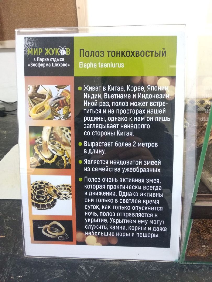 Дмитров, зооферма Шихово, Минсельхоз МО