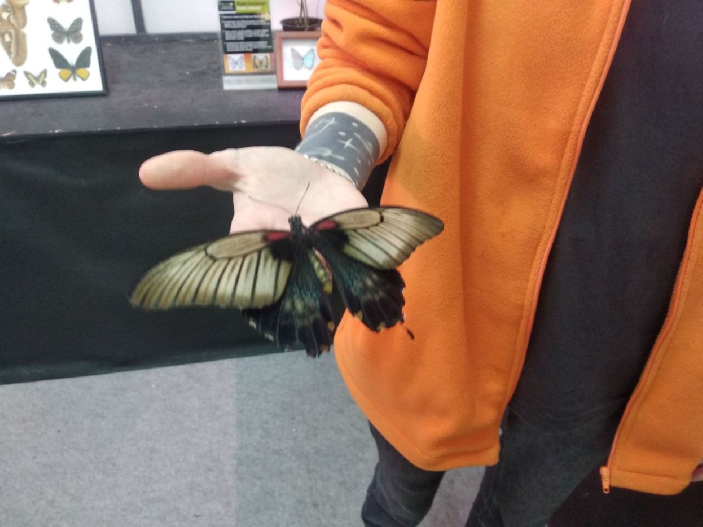 Дмитров, зооферма Шихово, Минсельхоз МО