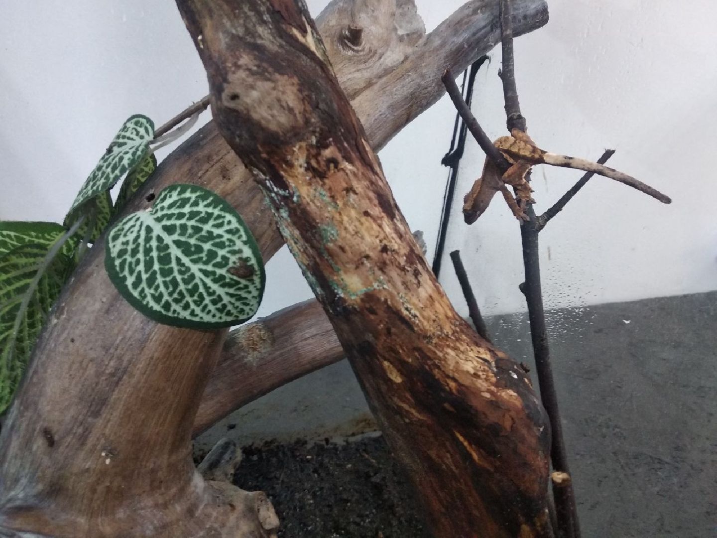 Дмитров, зооферма Шихово, Минсельхоз МО