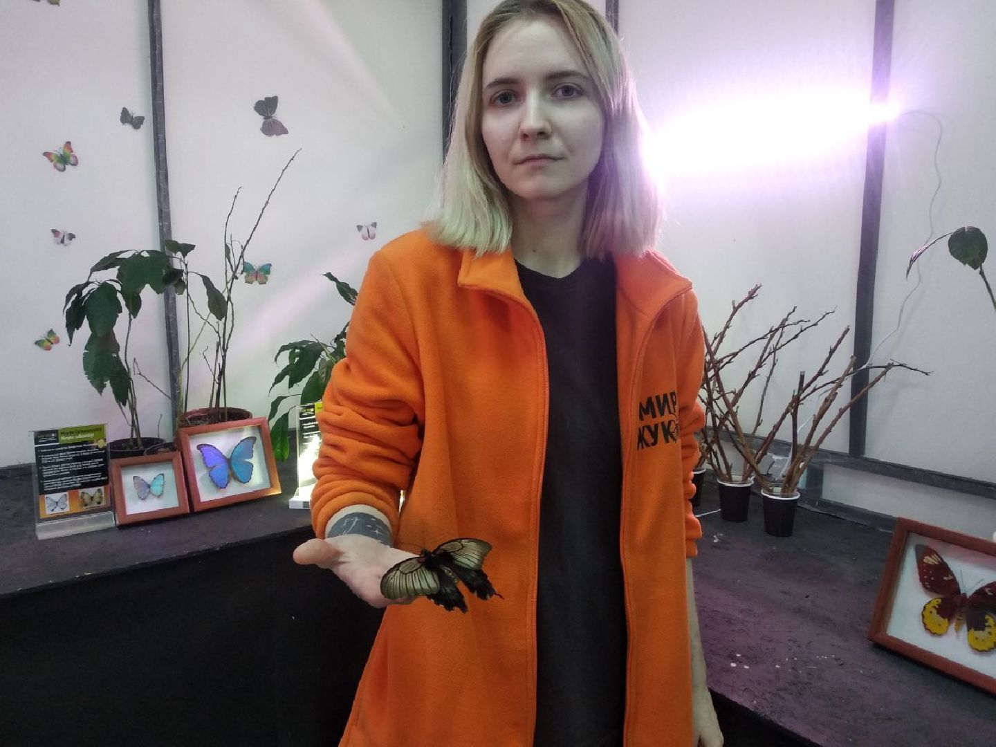 Дмитров, зооферма Шихово, Минсельхоз МО