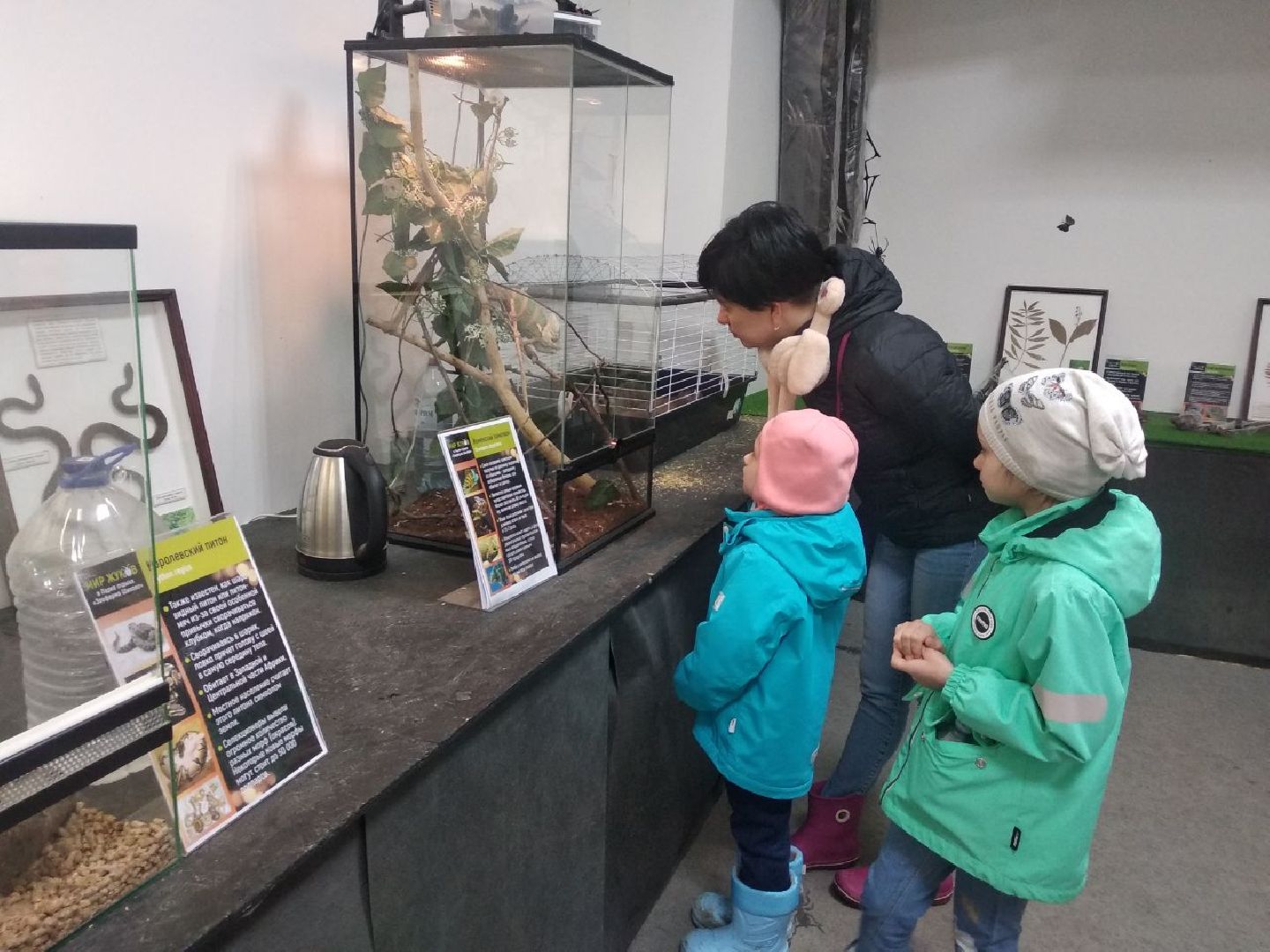 Дмитров, зооферма Шихово, Минсельхоз МО