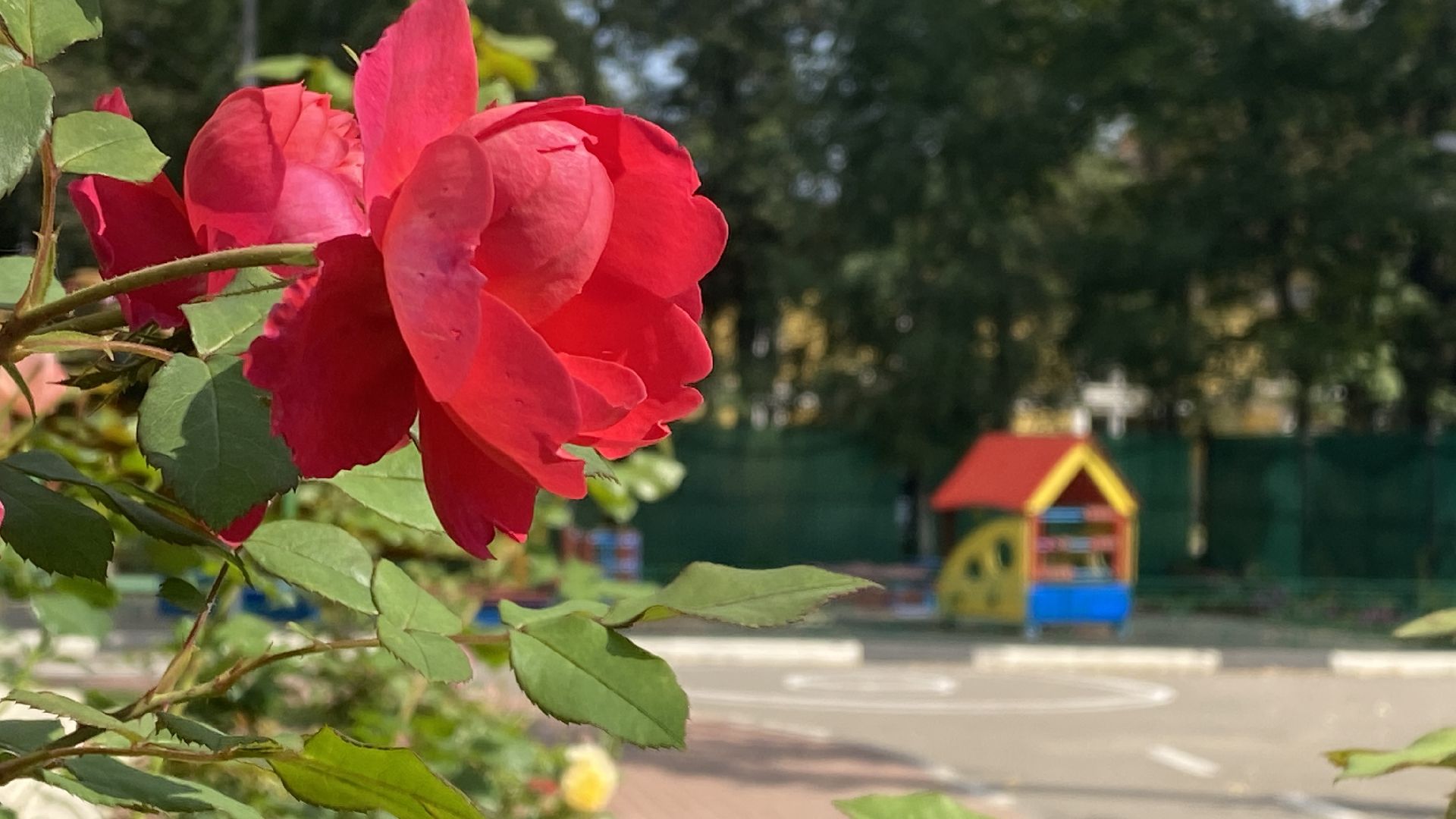 десткий сад, предшкола, развиваем, учим, любим детей, дети наше счастье, добрые педагоги, забота о детях,