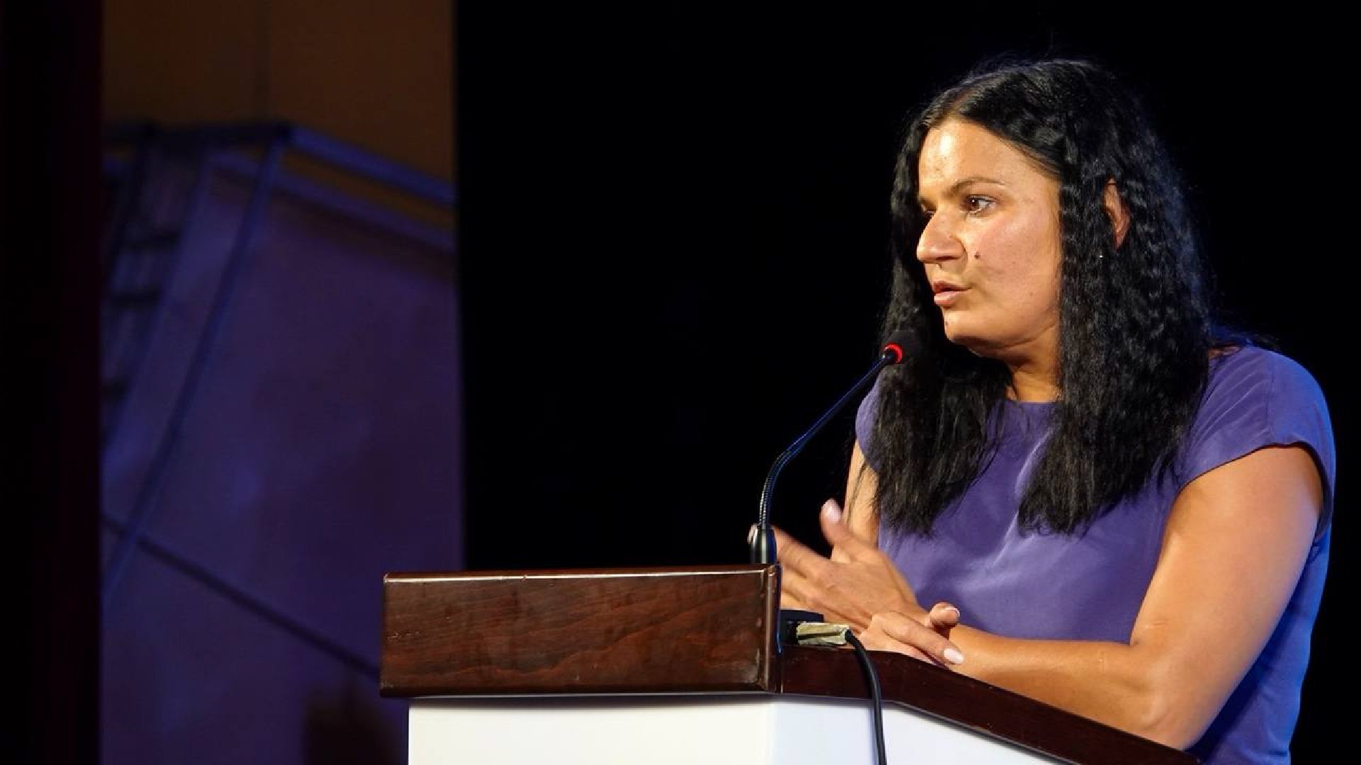 Выборы, Муниципальные выборы, Сергиев Посад, ТИК, Общественная палата, Наблюдатели,