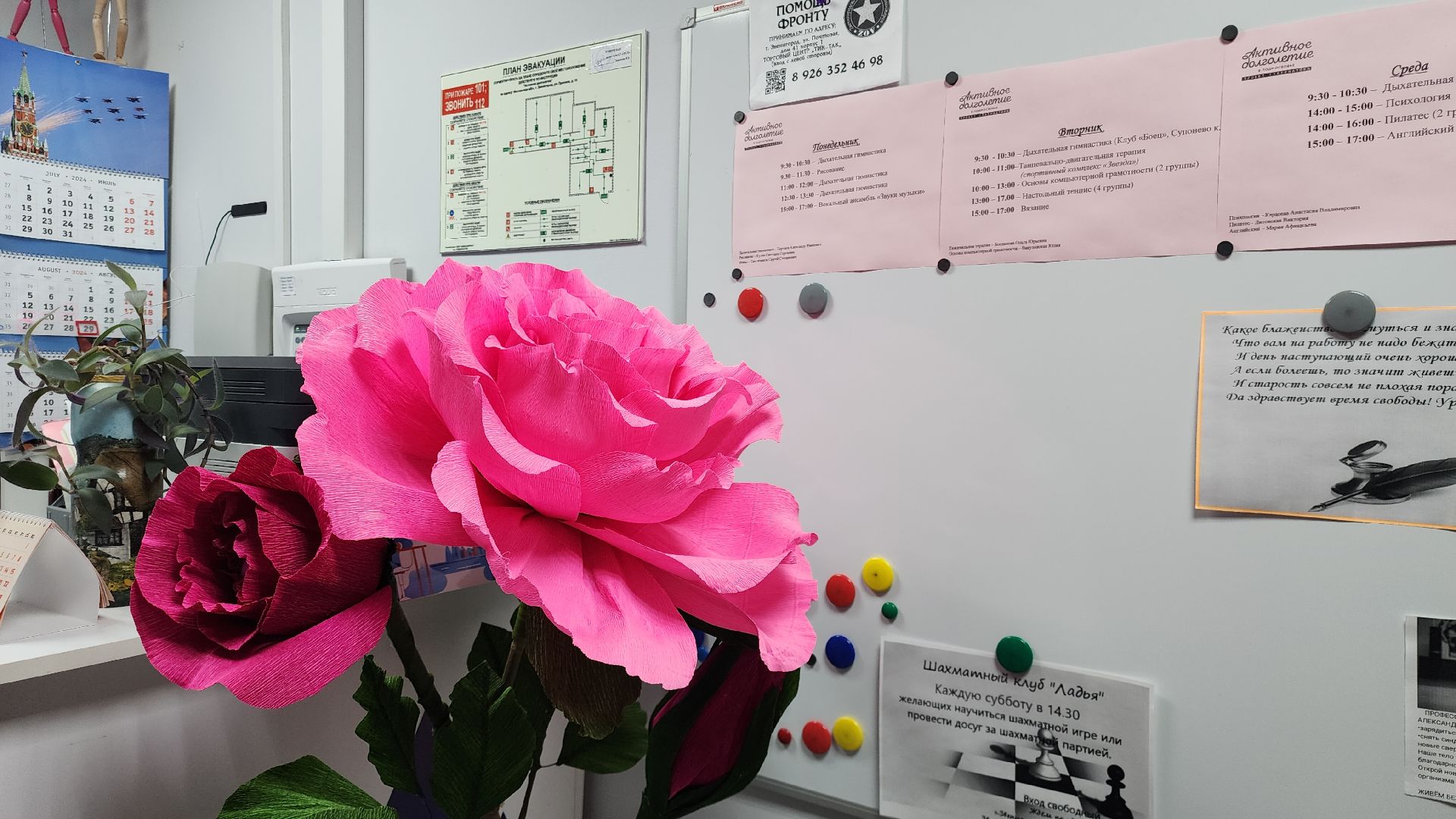 Звенигород, Активное долголетие, Социальное развитие, досуг, спорт,