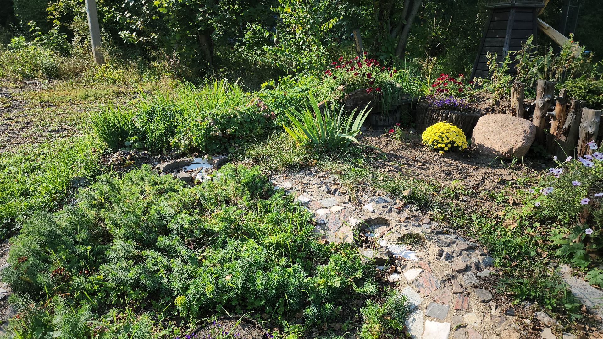 долгопрудный, кинологи, цветник, 67 летие Долгопрудного, X Легион,конкурс по благоустройству,