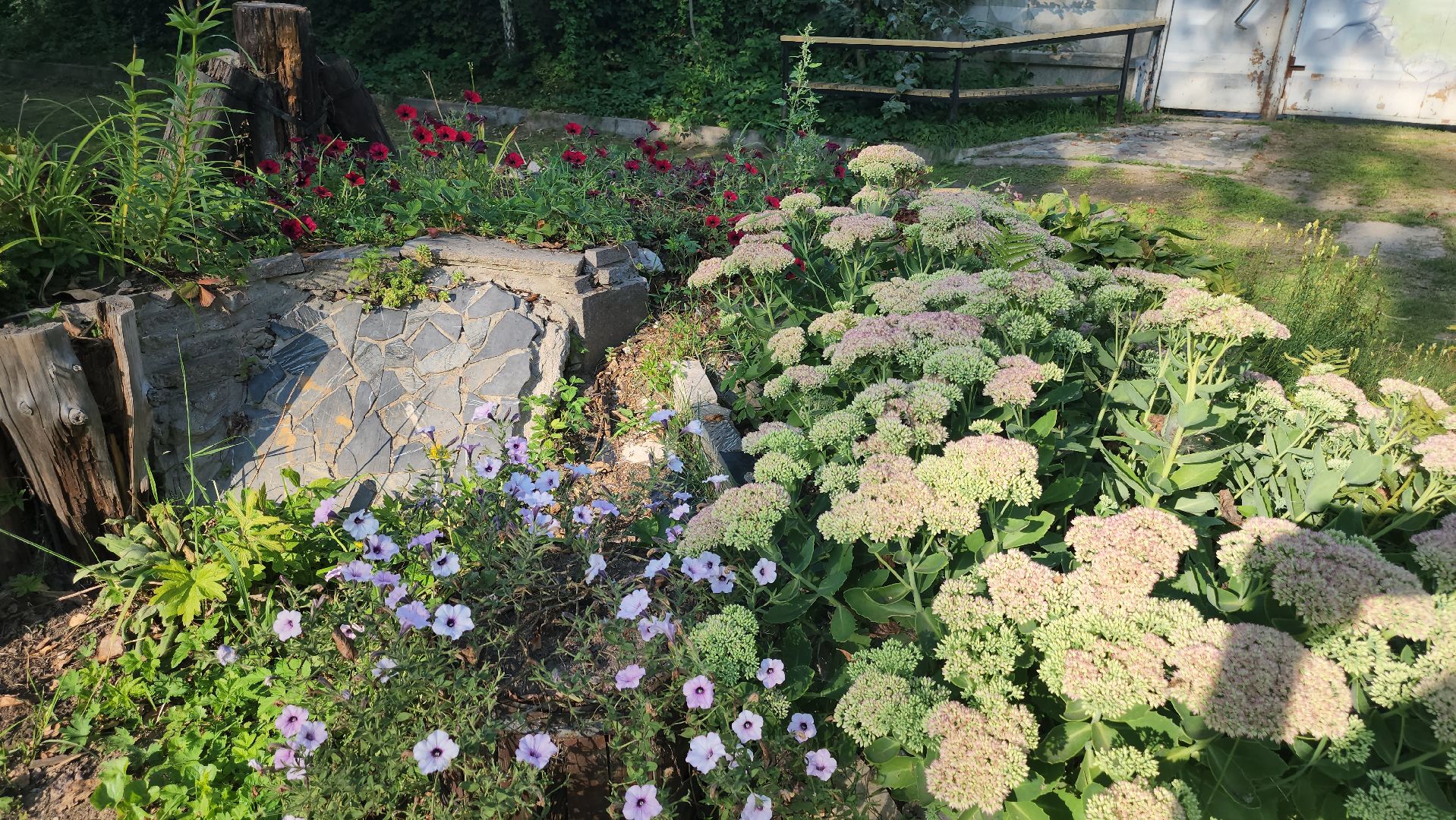 долгопрудный, кинологи, цветник, 67 летие Долгопрудного, X Легион,конкурс по благоустройству,