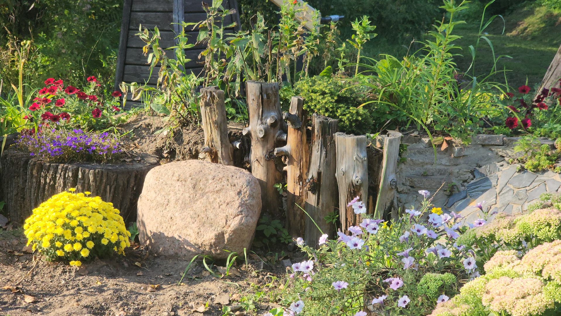 долгопрудный, кинологи, цветник, 67 летие Долгопрудного, X Легион,конкурс по благоустройству,