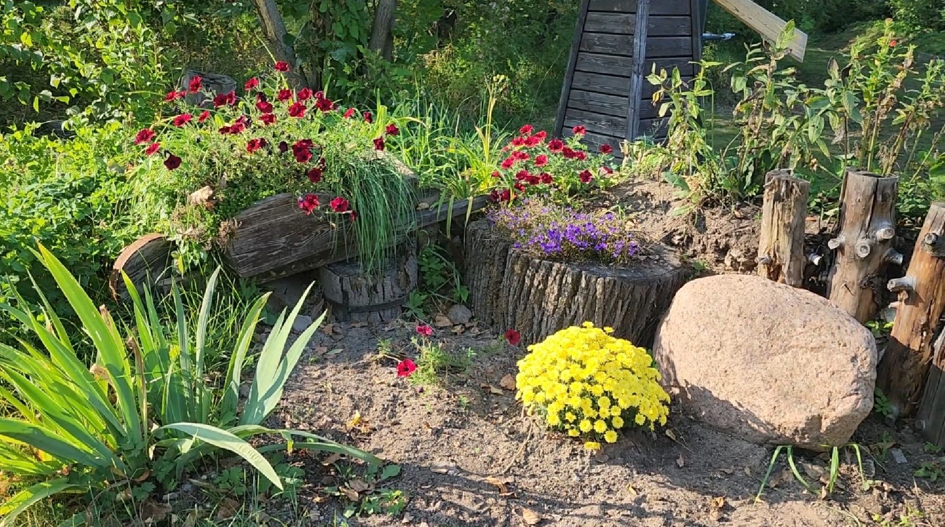 долгопрудный, кинологи, цветник, 67 летие Долгопрудного, X Легион,конкурс по благоустройству,