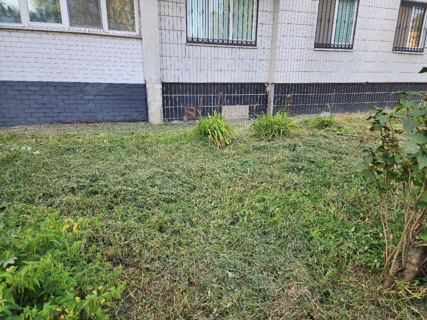 долгопрудный, выездная администрация, покос травы, микрорайон Островок,