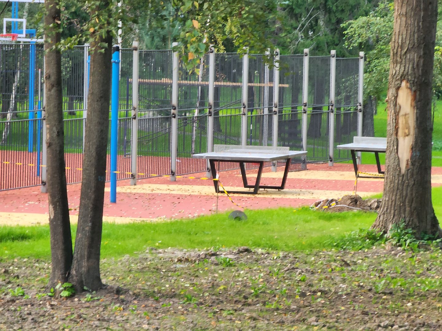 Коломна, благоустройство, парк,