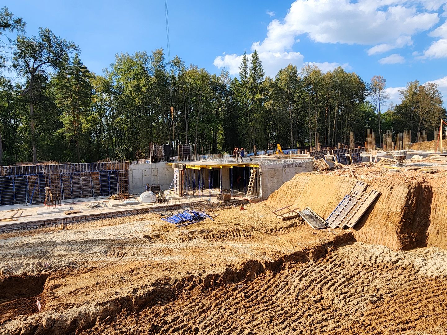 Чехов, поселок Мещерское, психиатрическая больница, лечебный корпус, реконструкция, строительство,