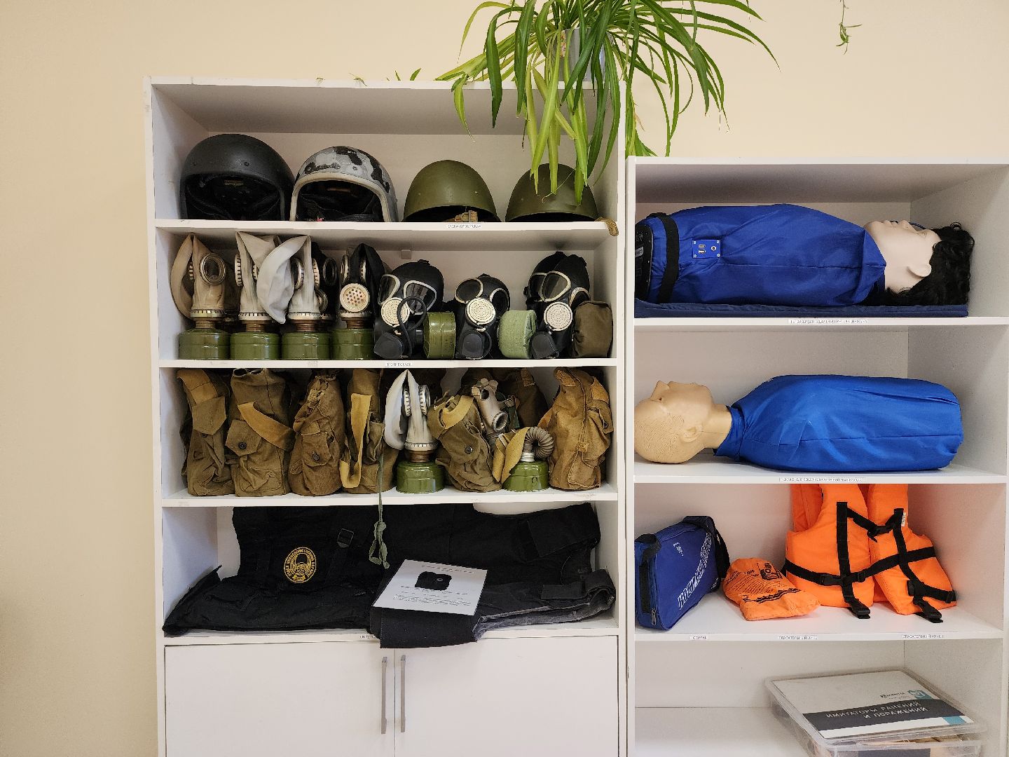 образование, подготовка к новому учебному году, школа-новостройка, Новое Бисерово-2, Богородский городской округ,