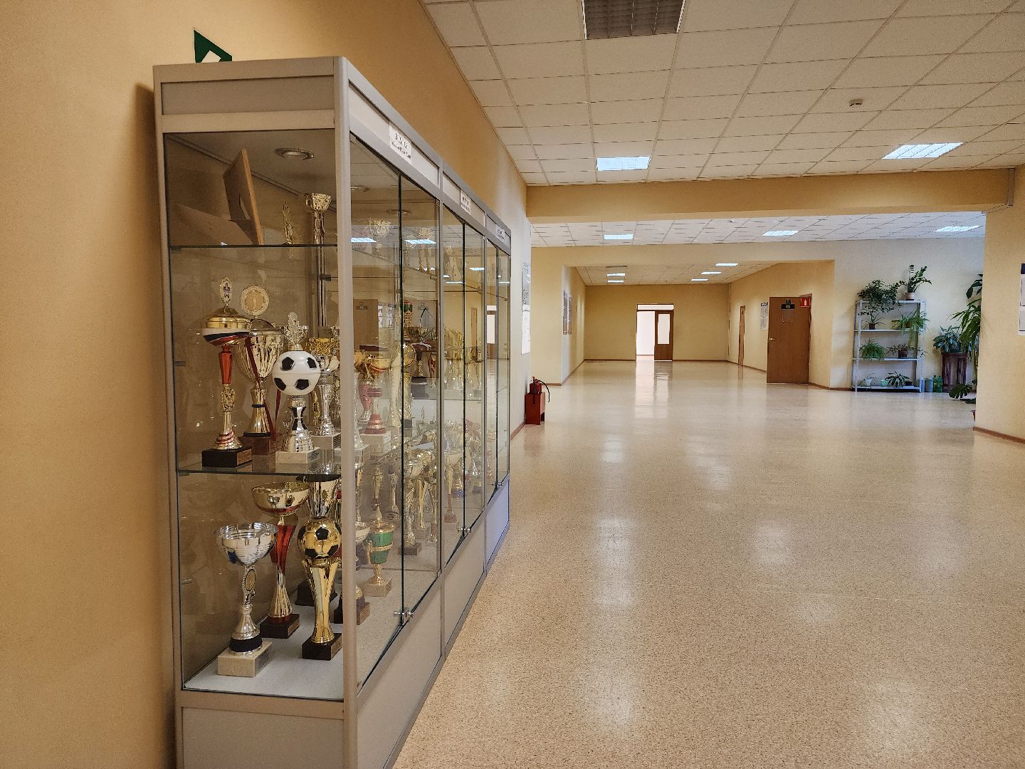 учебный год 2024-2025, подготовка к новому учебному году, 1 сентября, старая купавна, Богородский городской округ,