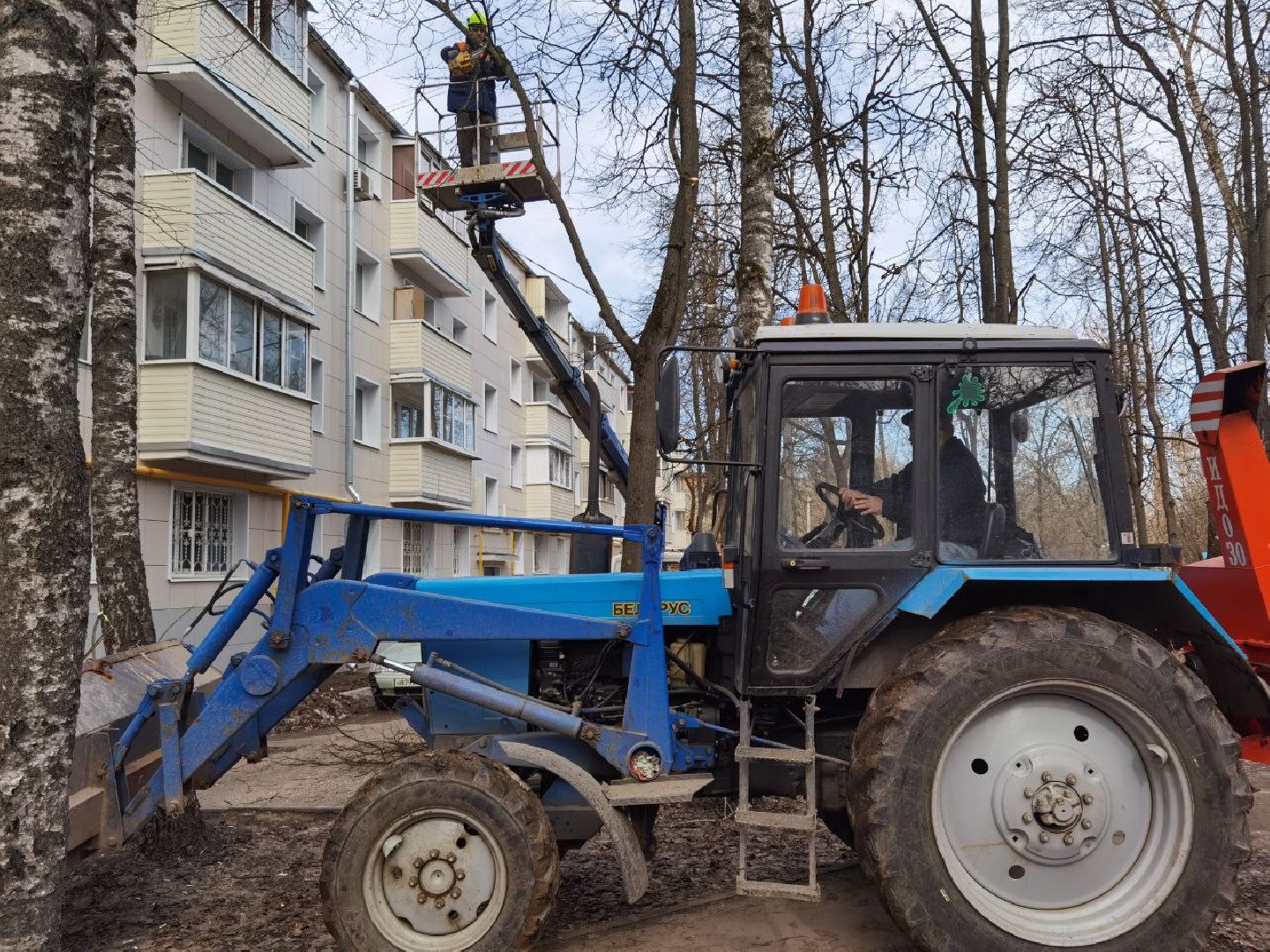 Сергиев Посад, Сергиево-Посадский городской округ, Уборка, Опиловка, По просьбам жителей, Благоустройство