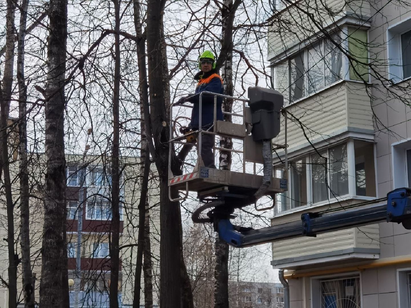 Сергиев Посад, Сергиево-Посадский городской округ, Уборка, Опиловка, По просьбам жителей, Благоустройство
