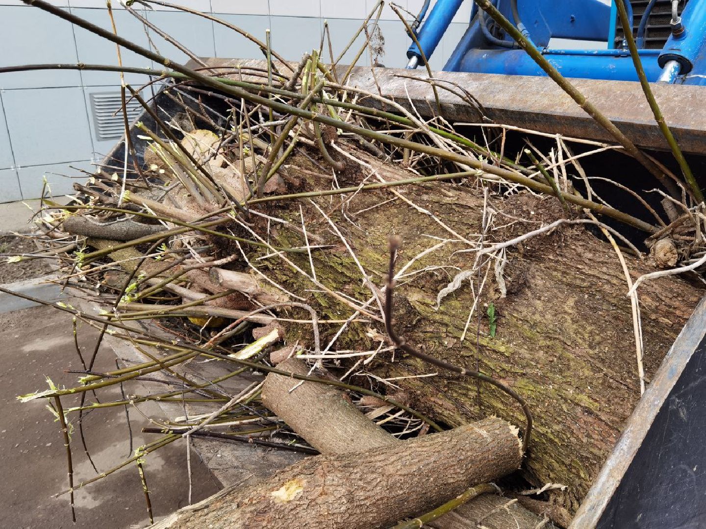 Сергиев Посад, Сергиево-Посадский городской округ, Уборка, Опиловка, По просьбам жителей, Благоустройство