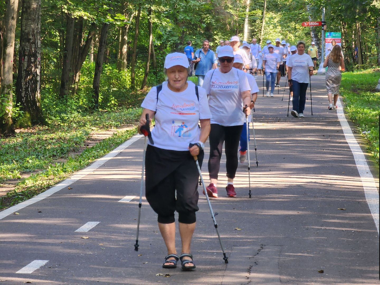 активное долголетие, форум, культура, спорт, мособлдума, молодая гвардия, одинцово, парк имени лазутиной,
