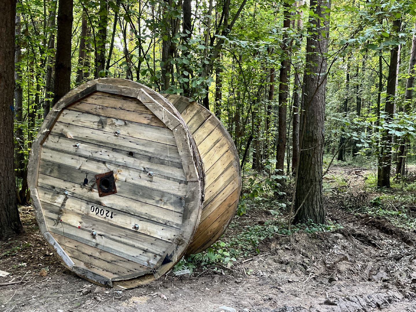 наро-фоминский городской округ, парк дубки в апрелевке, благоустройство парка, олег рожнов, формирование комфортной городской среды,