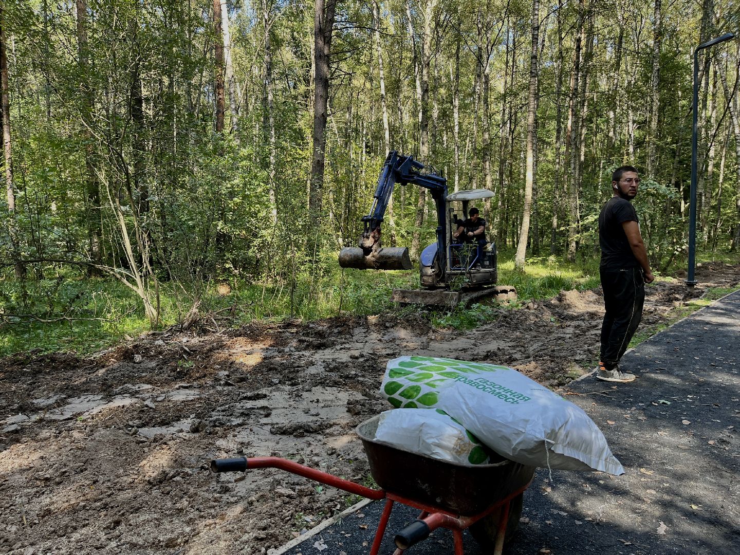 наро-фоминский городской округ, парк дубки в апрелевке, благоустройство парка, олег рожнов, формирование комфортной городской среды,