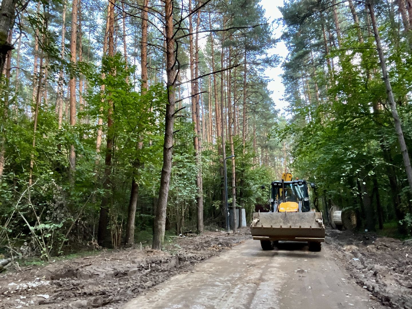 наро-фоминский городской округ, парк дубки в апрелевке, благоустройство парка, олег рожнов, формирование комфортной городской среды,