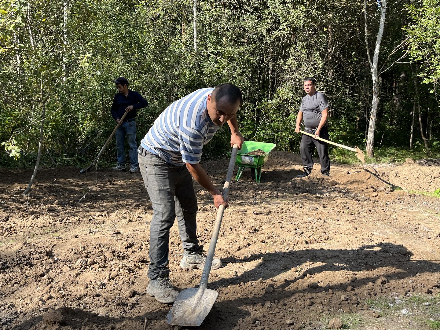 наро-фоминский городской округ, парк дубки в апрелевке, благоустройство парка, олег рожнов, формирование комфортной городской среды,