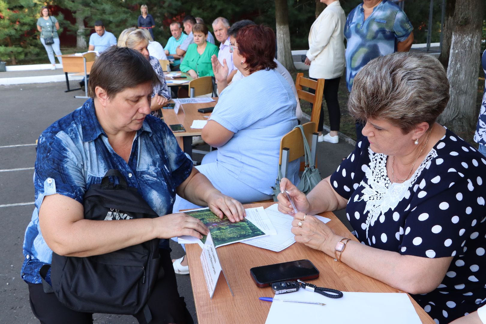 выездная администрация, власть, Серебряные Пруды, Поселок Дмитриевский,