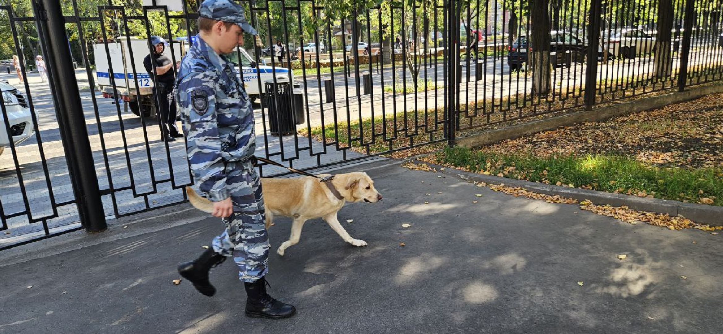 безопасность, противодействие терроризму, школы,