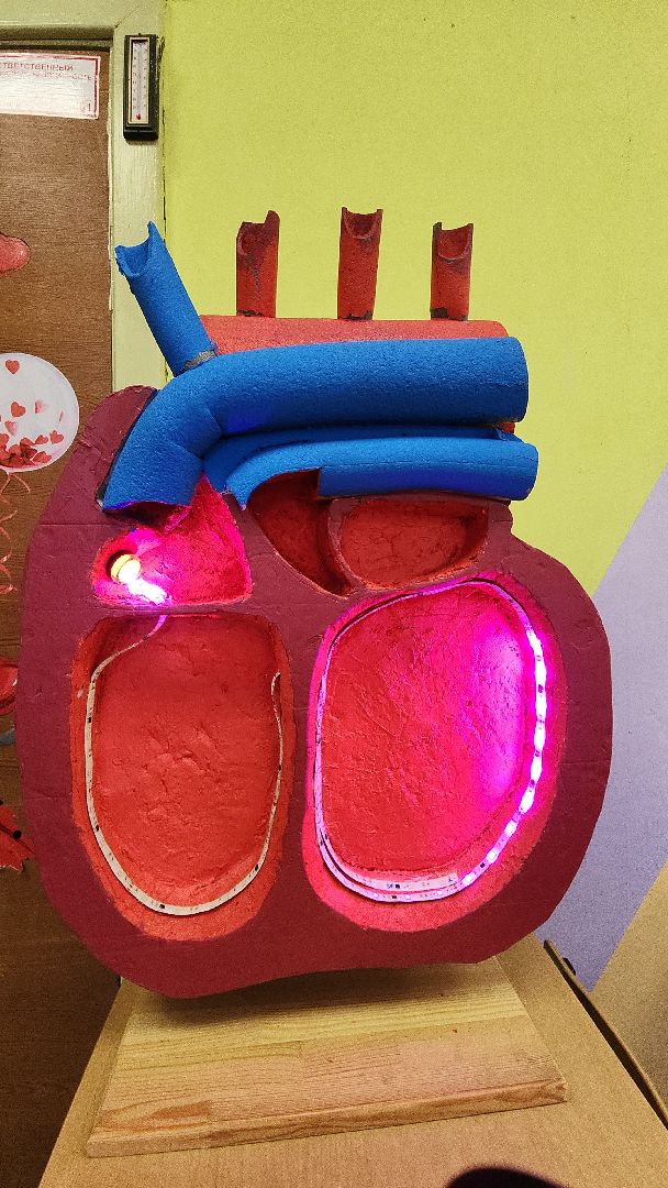 топ 100 учителей подмосковья, лучший учитель, лицей 7, электросталь, учитель биологии, мой город, образование, образование в подмосковье, образование электросталь,