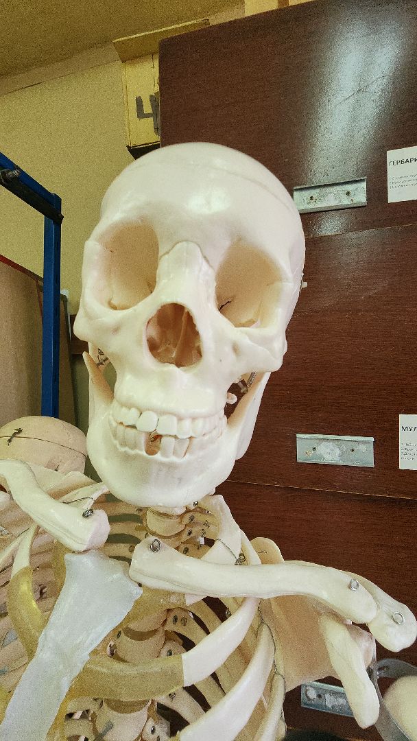 топ 100 учителей подмосковья, лучший учитель, лицей 7, электросталь, учитель биологии, мой город, образование, образование в подмосковье, образование электросталь,